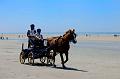 _D3X2185-Marathon des dunes de Fland